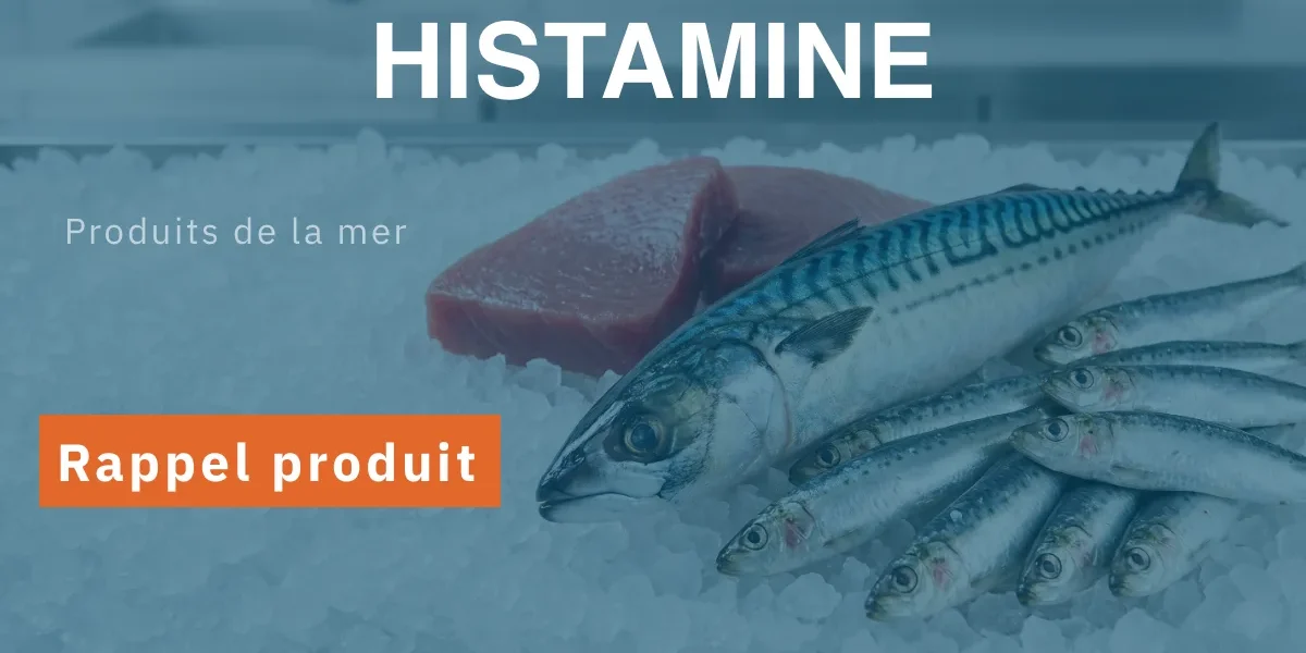 Carrefour Hyper Épinal : filets de maquereaux rappelés pour taux d&rsquo;histamine élevé — Épinal uniquement